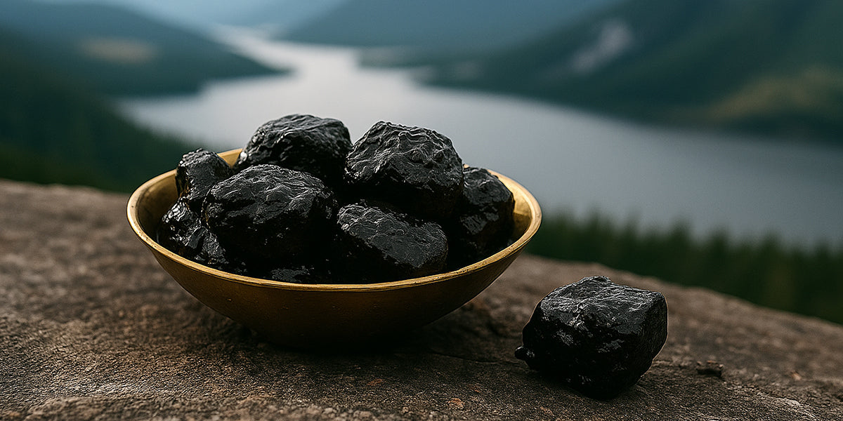 What Makes Himalayan Shilajit Resin So Special? Unveiling Natureβs Potent Wellness Gift
